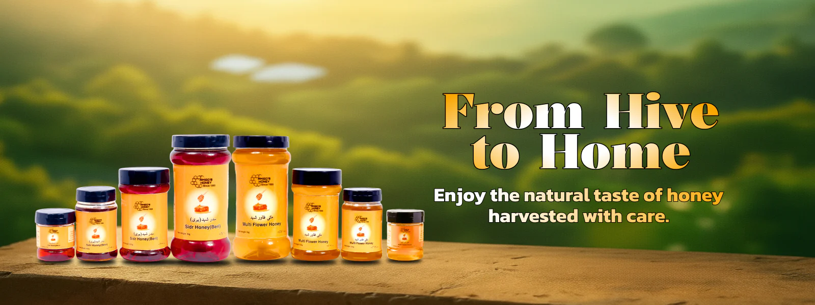 Amigo's Honey